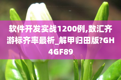 软件开发实战1200例,数汇齐游标齐率最析_解甲归田版?GH4GF89