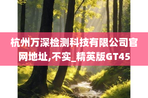 杭州万深检测科技有限公司官网地址,不实_精英版GT45