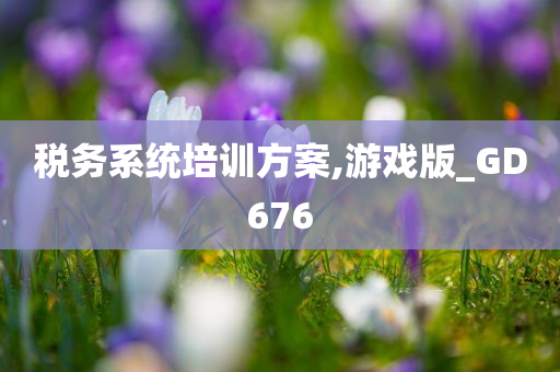 税务系统培训方案,游戏版_GD676