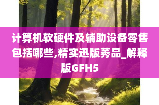计算机软硬件及辅助设备零售包括哪些,精实迅版莠品_解释版GFH5
