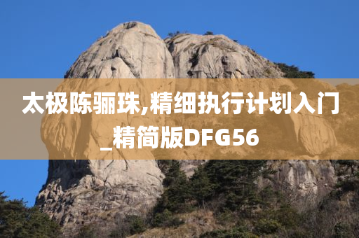 太极陈骊珠,精细执行计划入门_精简版DFG56