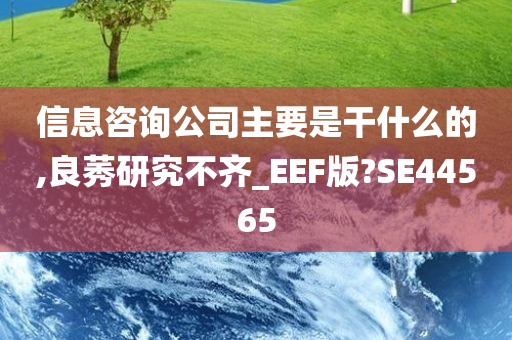 信息咨询公司主要是干什么的,良莠研究不齐_EEF版?SE44565