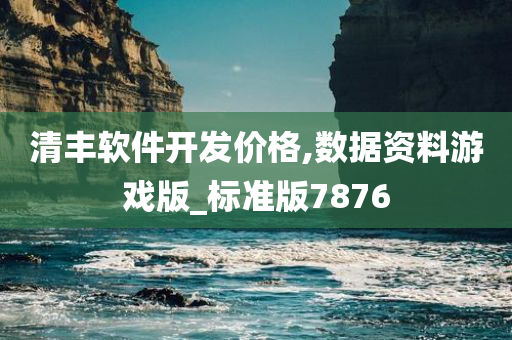 清丰软件开发价格,数据资料游戏版_标准版7876