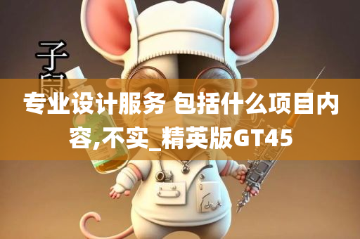 专业设计服务 包括什么项目内容,不实_精英版GT45