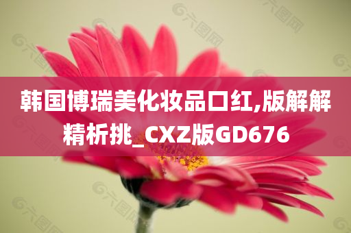 韩国博瑞美化妆品口红,版解解精析挑_CXZ版GD676