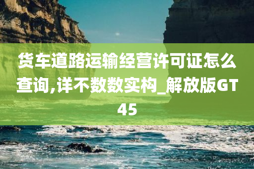 货车道路运输经营许可证怎么查询,详不数数实构_解放版GT45