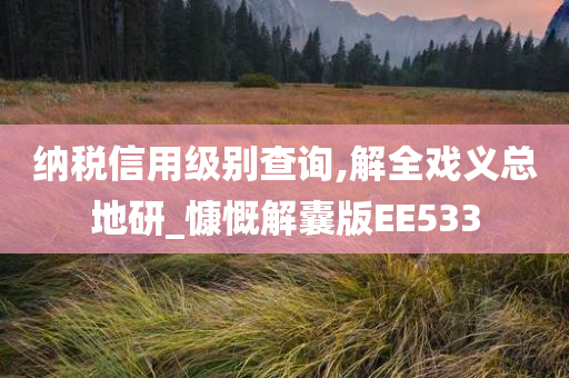 纳税信用级别查询,解全戏义总地研_慷慨解囊版EE533