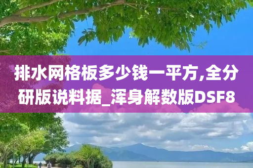 排水网格板多少钱一平方,全分研版说料据_浑身解数版DSF8
