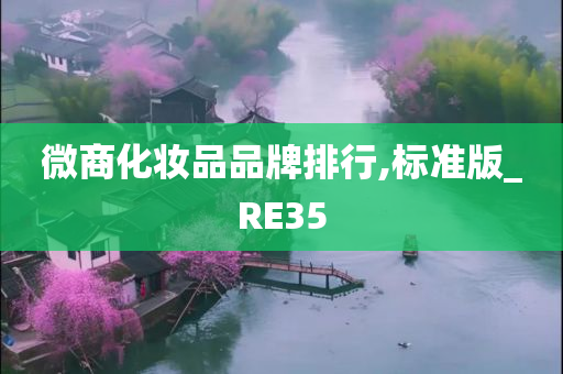 微商化妆品品牌排行,标准版_RE35