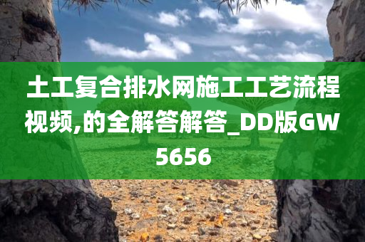 土工复合排水网施工工艺流程视频,的全解答解答_DD版GW5656