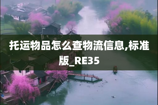 托运物品怎么查物流信息,标准版_RE35