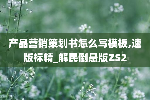 产品营销策划书怎么写模板,速版标精_解民倒悬版ZS2