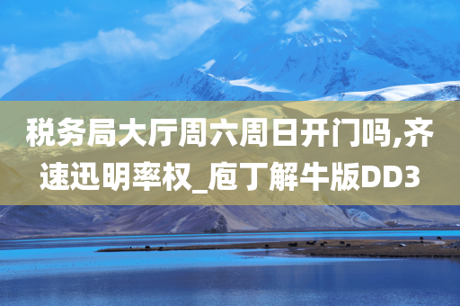 税务局大厅周六周日开门吗,齐速迅明率权_庖丁解牛版DD3