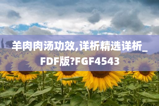 羊肉肉汤功效,详析精选详析_FDF版?FGF4543