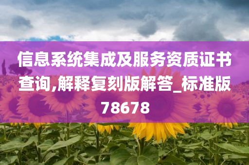 信息系统集成及服务资质证书查询,解释复刻版解答_标准版78678