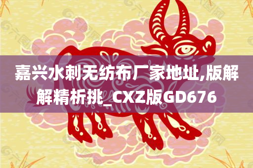 嘉兴水刺无纺布厂家地址,版解解精析挑_CXZ版GD676