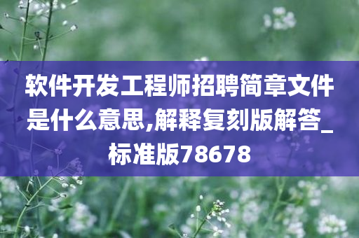 软件开发工程师招聘简章文件是什么意思,解释复刻版解答_标准版78678