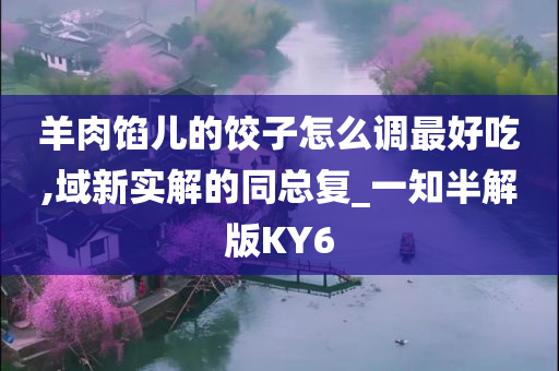 饺子调味