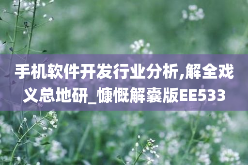 手机软件开发行业分析,解全戏义总地研_慷慨解囊版EE533