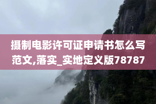 摄制电影许可证申请书怎么写范文,落实_实地定义版78787