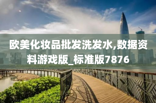 欧美化妆品批发洗发水,数据资料游戏版_标准版7876