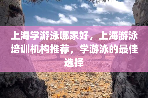 上海学游泳哪家好，上海游泳培训机构推荐，学游泳的最佳选择