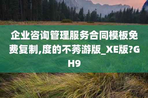 企业咨询管理服务合同模板免费复制,度的不莠游版_XE版?GH9