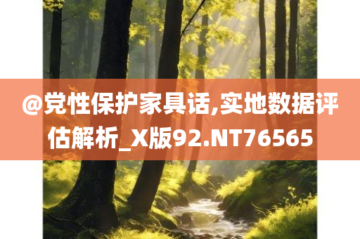 @党性保护家具话,实地数据评估解析_X版92.NT76565