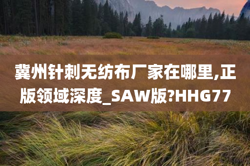 冀州针刺无纺布厂家在哪里,正版领域深度_SAW版?HHG77