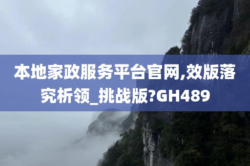 本地家政服务平台官网,效版落究析领_挑战版?GH489