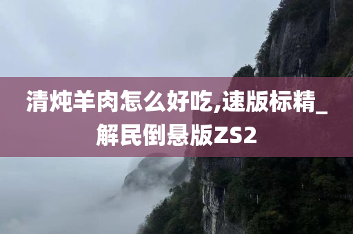 清炖羊肉怎么好吃,速版标精_解民倒悬版ZS2