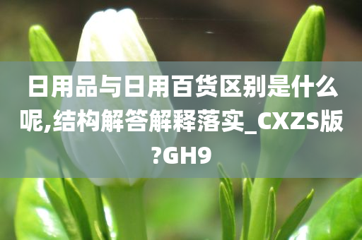 日用品与日用百货区别是什么呢,结构解答解释落实_CXZS版?GH9