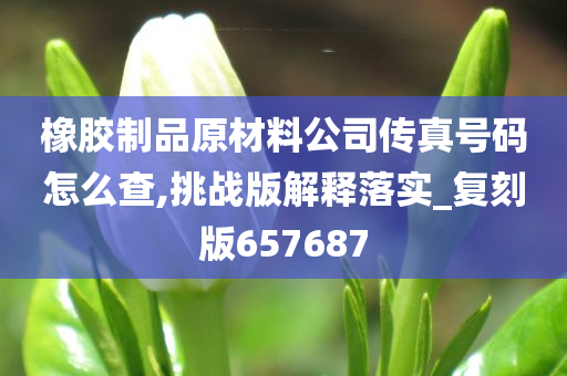 橡胶制品原材料公司传真号码怎么查,挑战版解释落实_复刻版657687