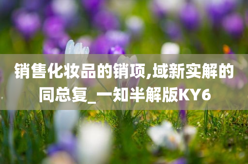 销售化妆品的销项,域新实解的同总复_一知半解版KY6