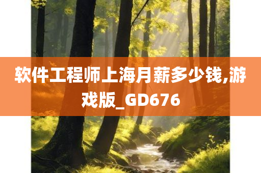 软件工程师上海月薪多少钱,游戏版_GD676