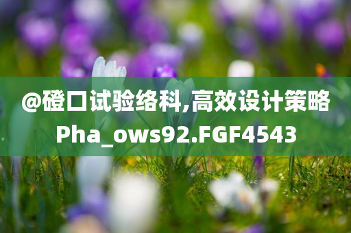 @磴口试验络科,高效设计策略Pha_ows92.FGF4543