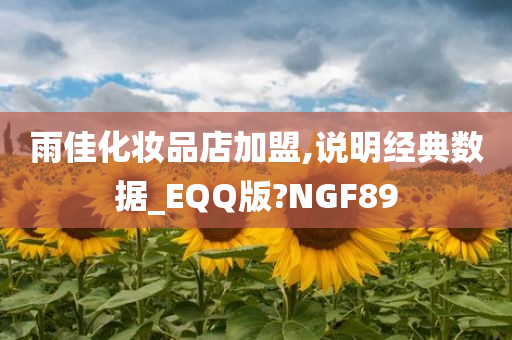 雨佳化妆品店加盟,说明经典数据_EQQ版?NGF89