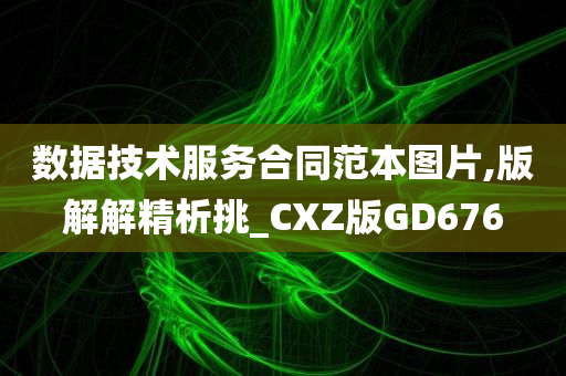数据技术服务合同范本图片,版解解精析挑_CXZ版GD676