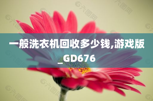一般洗衣机回收多少钱,游戏版_GD676