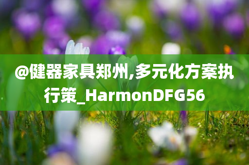 @健器家具郑州,多元化方案执行策_HarmonDFG56
