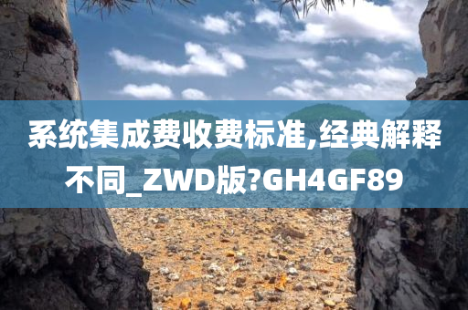 系统集成费收费标准,经典解释不同_ZWD版?GH4GF89