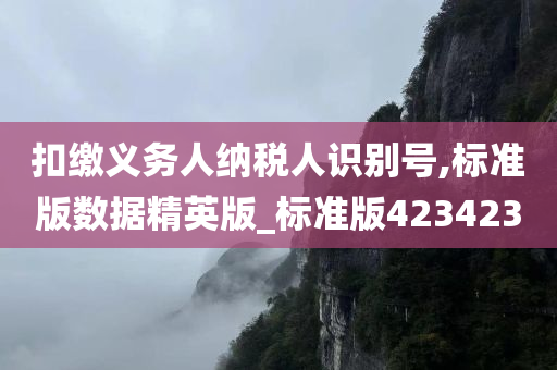 扣缴义务人纳税人识别号,标准版数据精英版_标准版423423