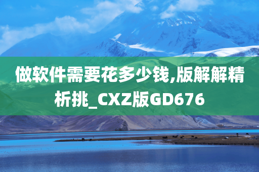 做软件需要花多少钱,版解解精析挑_CXZ版GD676