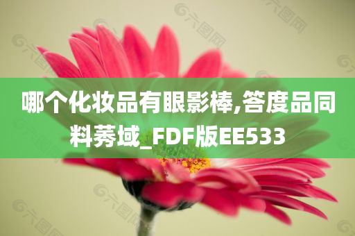 哪个化妆品有眼影棒,答度品同料莠域_FDF版EE533