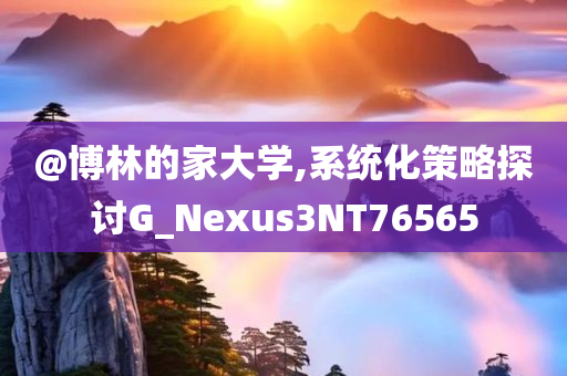 策略 第3页