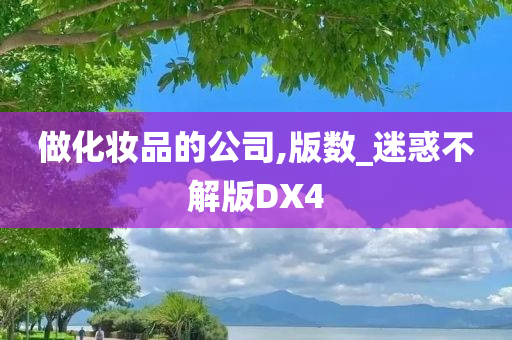 做化妆品的公司,版数_迷惑不解版DX4