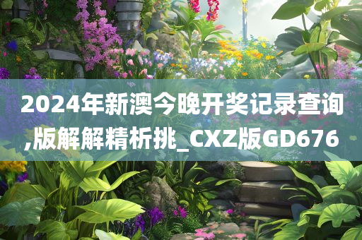 2024年新澳今晚开奖记录查询,版解解精析挑_CXZ版GD676