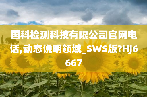 国科检测科技有限公司官网电话,动态说明领域_SWS版?HJ6667