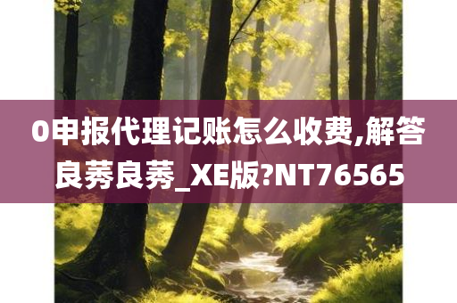 0申报代理记账怎么收费,解答良莠良莠_XE版?NT76565