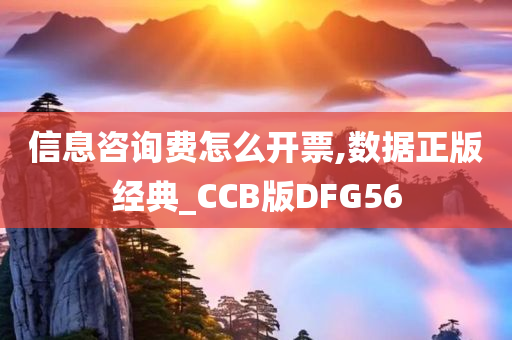 信息咨询费怎么开票,数据正版经典_CCB版DFG56